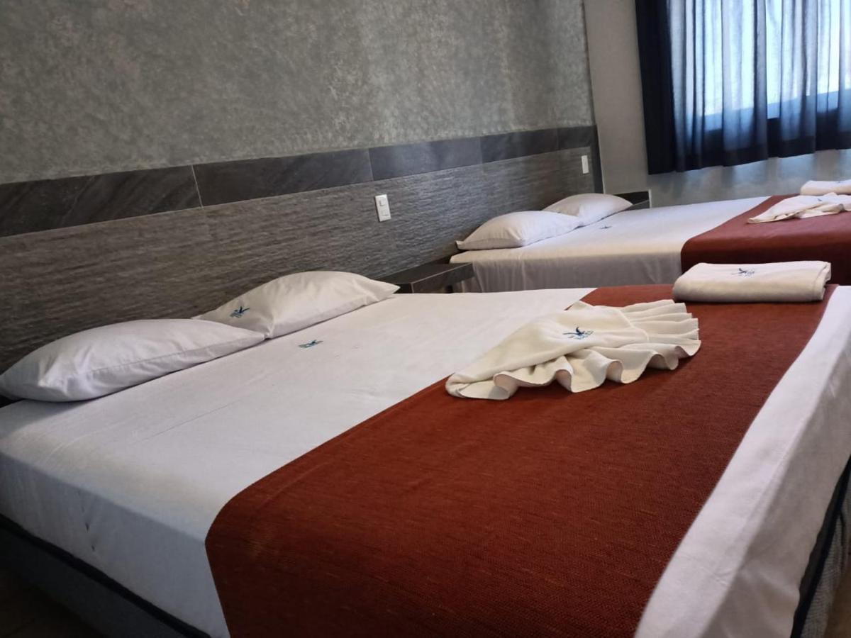 פניטה דה חלטמבה Hotel Albatros מראה חיצוני תמונה