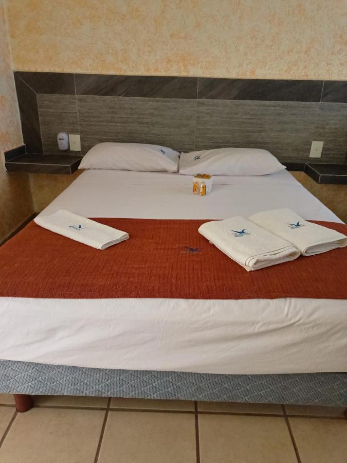 פניטה דה חלטמבה Hotel Albatros מראה חיצוני תמונה