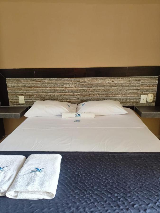 פניטה דה חלטמבה Hotel Albatros מראה חיצוני תמונה