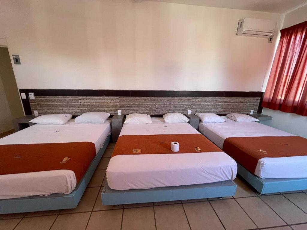 פניטה דה חלטמבה Hotel Albatros מראה חיצוני תמונה