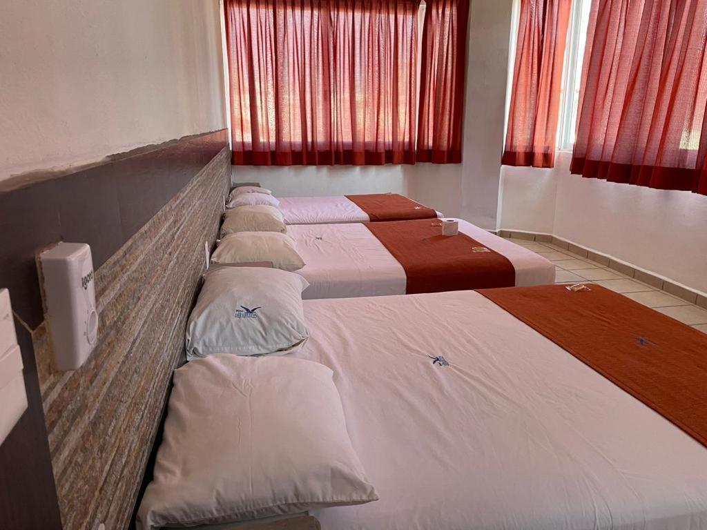 פניטה דה חלטמבה Hotel Albatros מראה חיצוני תמונה